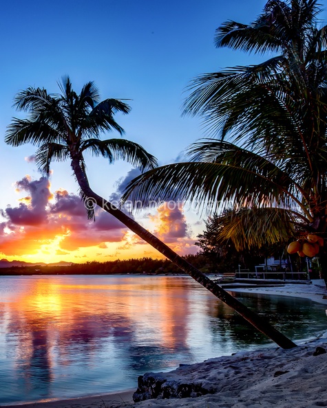 mauritius-1.jpg