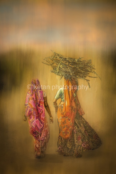 rajasthan-22.jpg