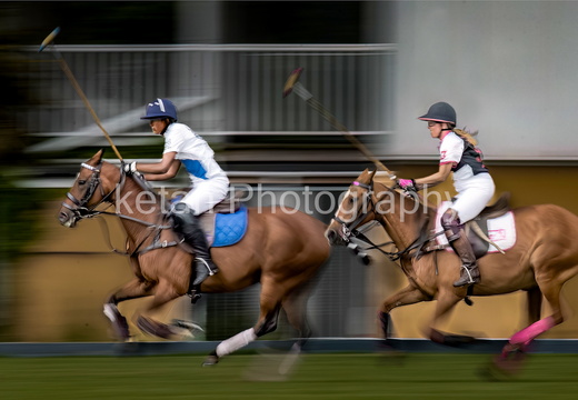 Polo-1