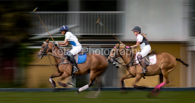 Polo-1.jpg