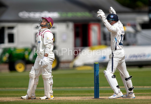 cricket-1