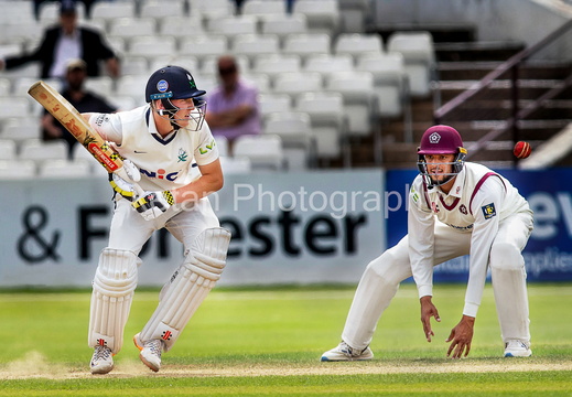 cricket-2