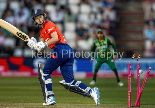 cricket-8
