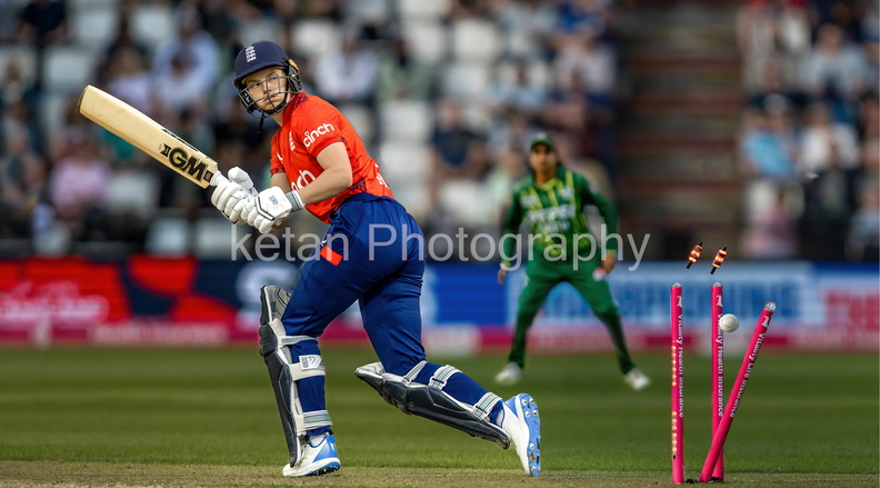 cricket-8.jpg