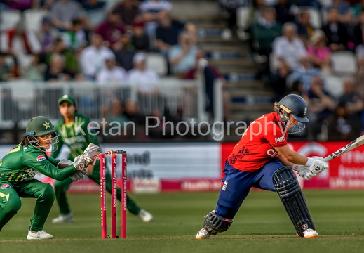 cricket-11