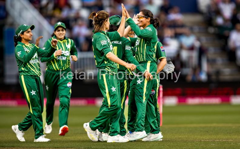 cricket-13.jpg