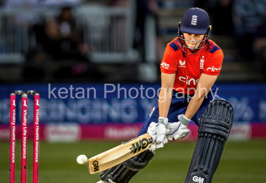 cricket-14