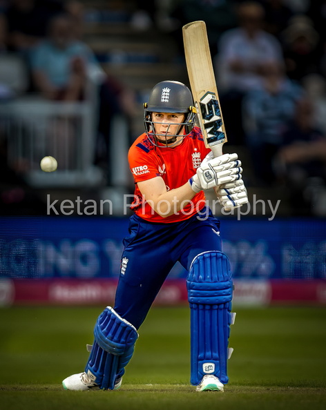 cricket-15.jpg