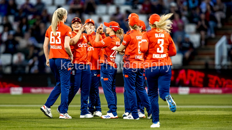 cricket-17.jpg