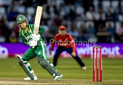 cricket-18