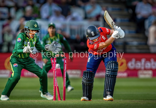 Cricket-18