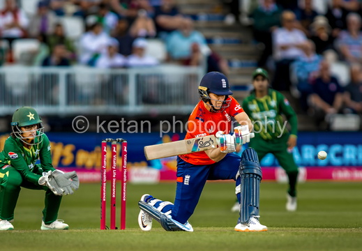 Cricket-21