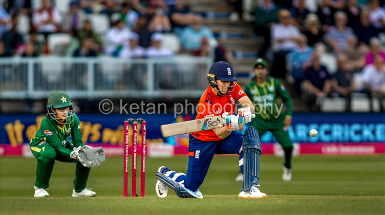 Cricket-21.JPG