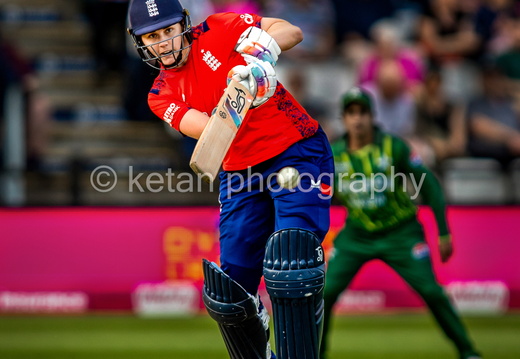 Cricket-20