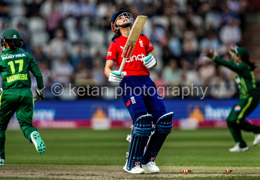 Cricket-19