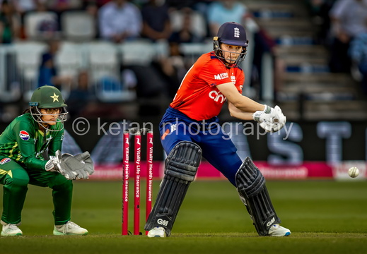 Cricket-22