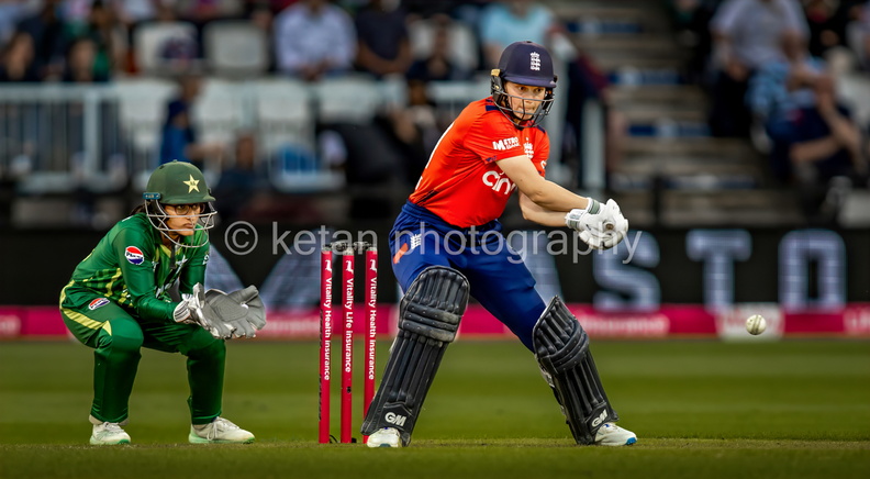 Cricket-22.JPG
