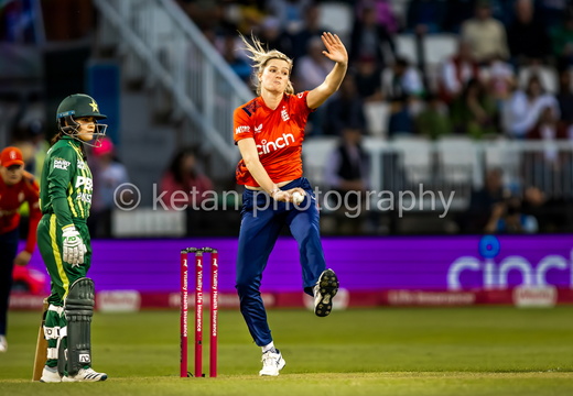 Cricket-24