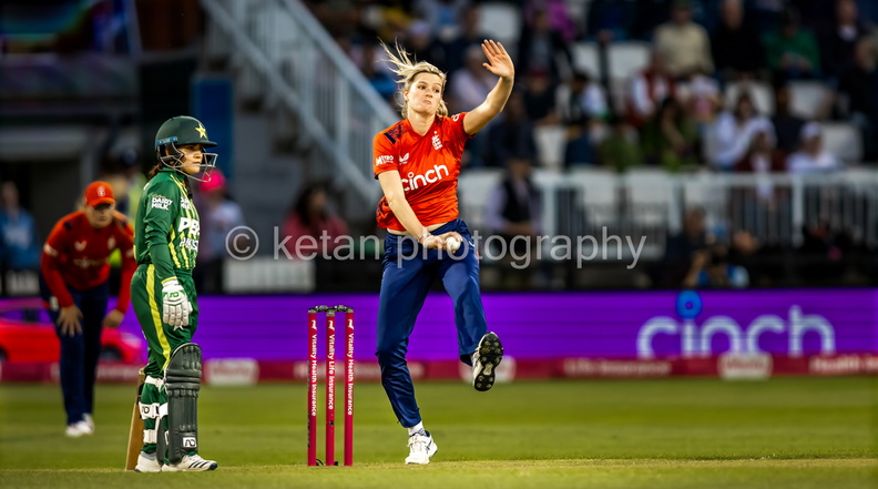 Cricket-24.JPG