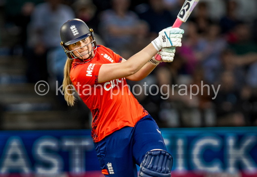 Cricket-23