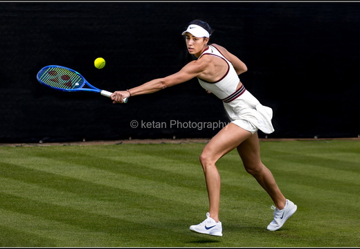 Tennis-1
