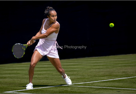 Tennis-3