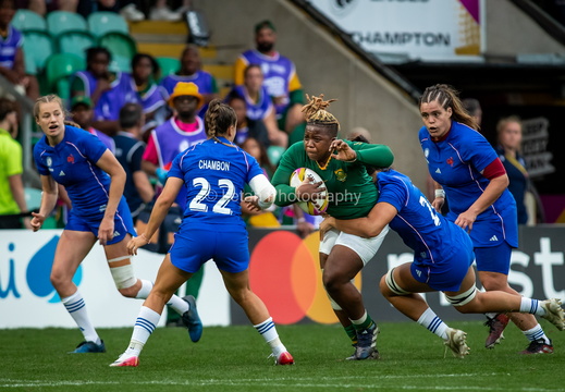 FRA v RSA-55