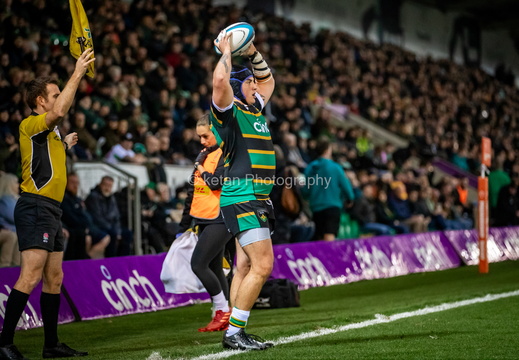 Saints v Harlequins-11