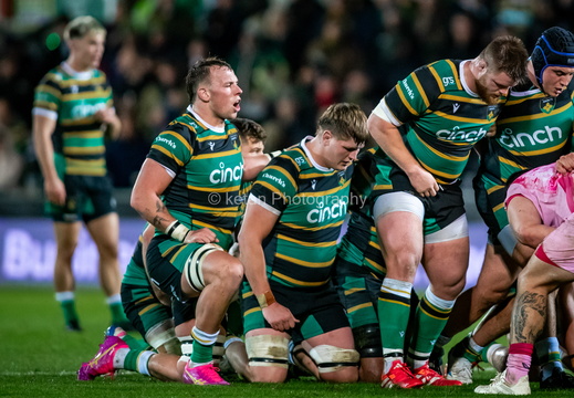 Saints v Harlequins-18